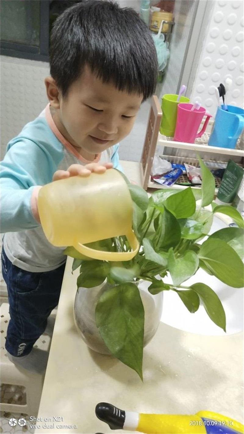 http://s.yun12.cn/lxsyyey/images/5x2a01gicrz20200606154835.jpg