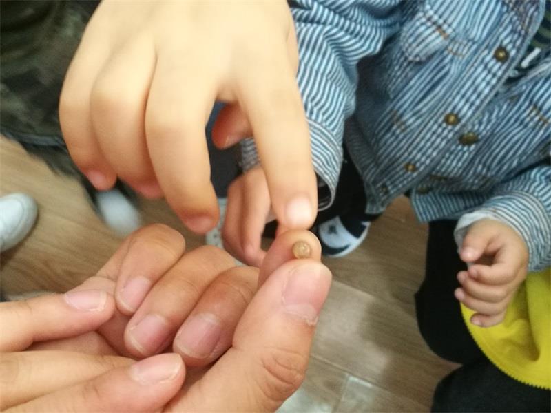 http://s.yun12.cn/lxsyyey/images/yedx0cgdpl220200606154732.jpg