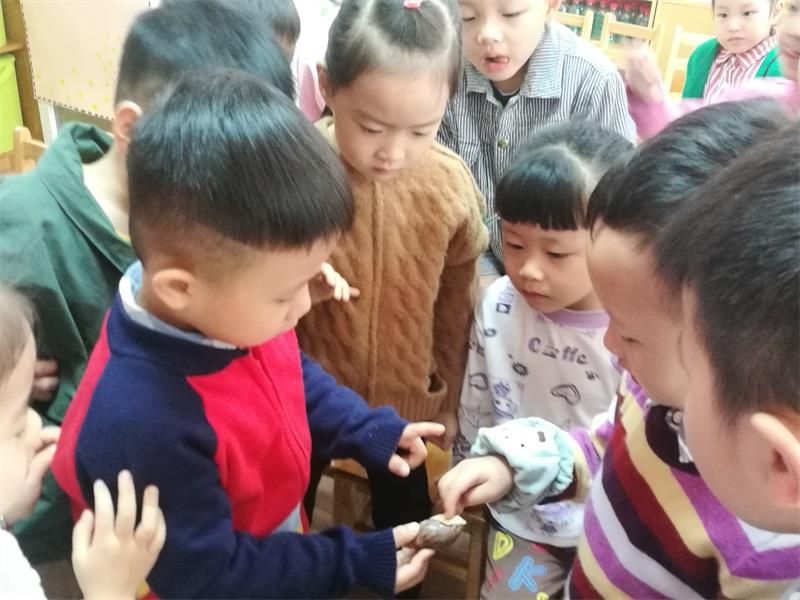 http://s.yun12.cn/lxsyyey/images/z11kumr1bz320200606154732.jpg