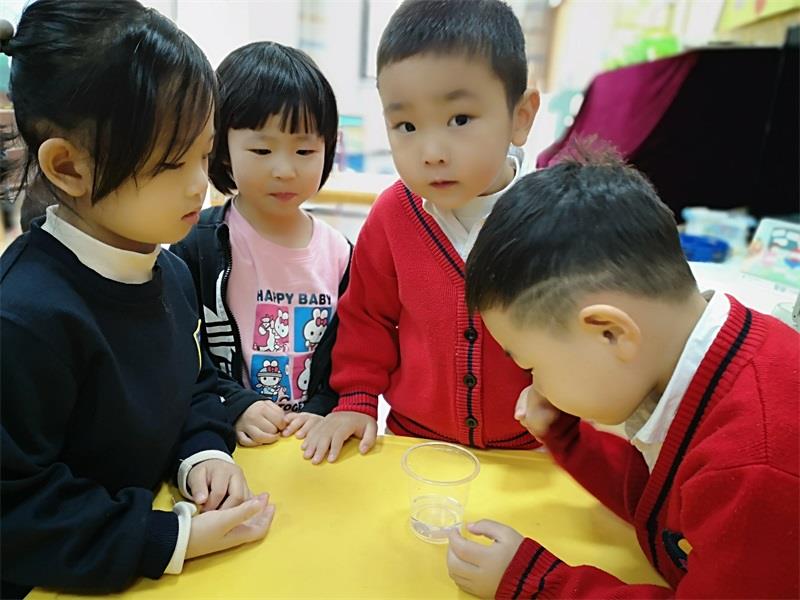 http://s.yun12.cn/lxsyyey/images/sj0zzu5aiqf20200606152413.jpg