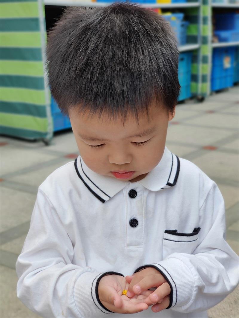 http://s.yun12.cn/lxsyyey/images/boroidfukvo20200606154041.jpg