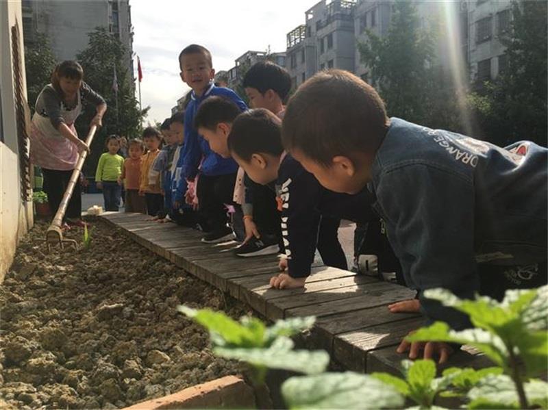 http://s.yun12.cn/lxsyyey/images/bt42wijg0dp20200606154300.jpg