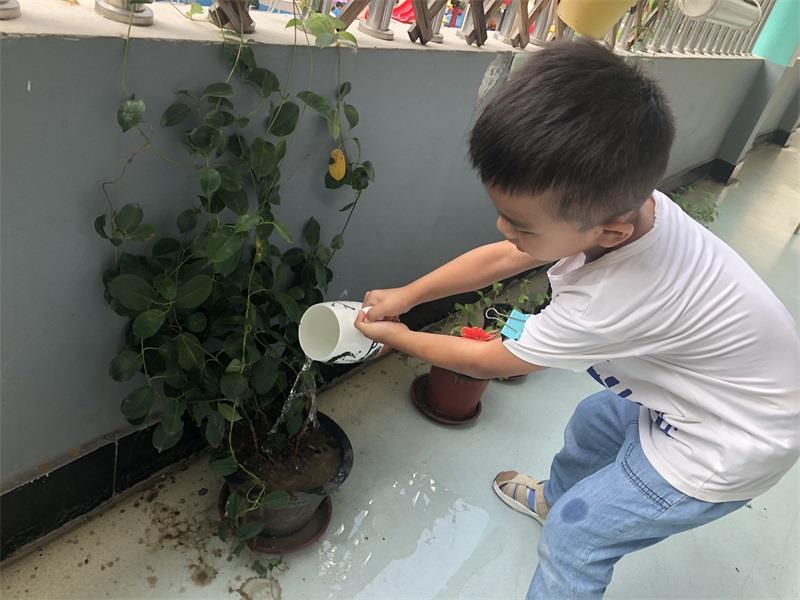 http://s.yun12.cn/lxsyyey/images/2lsmcyg1wzv20200606154754.jpg