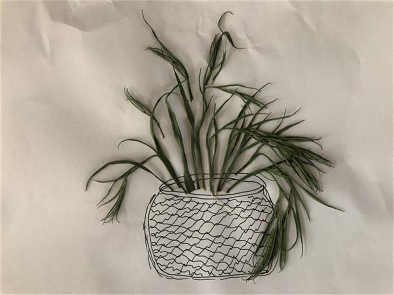 http://s.yun12.cn/lxsyyey/images/dtjq1c0eq2x20200606154729.jpg
