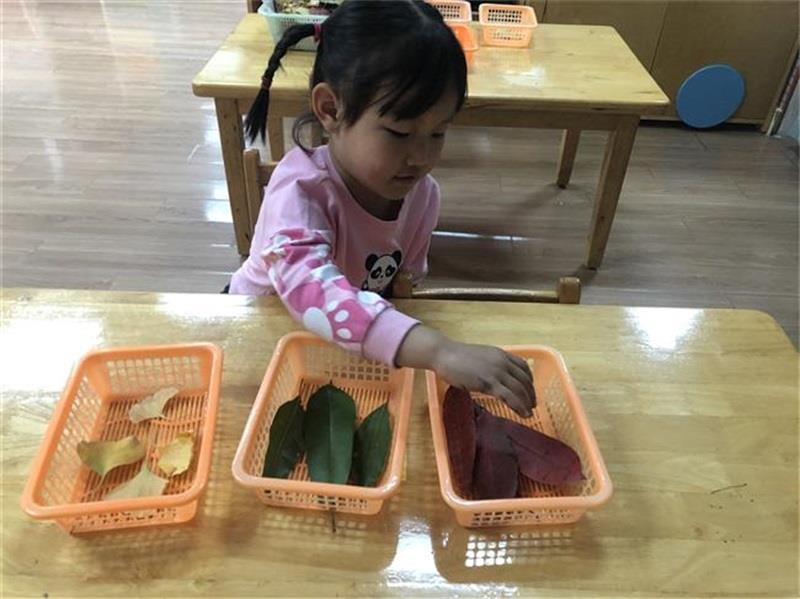 http://s.yun12.cn/lxsyyey/images/fe0o1twgrv520200606154729.jpg