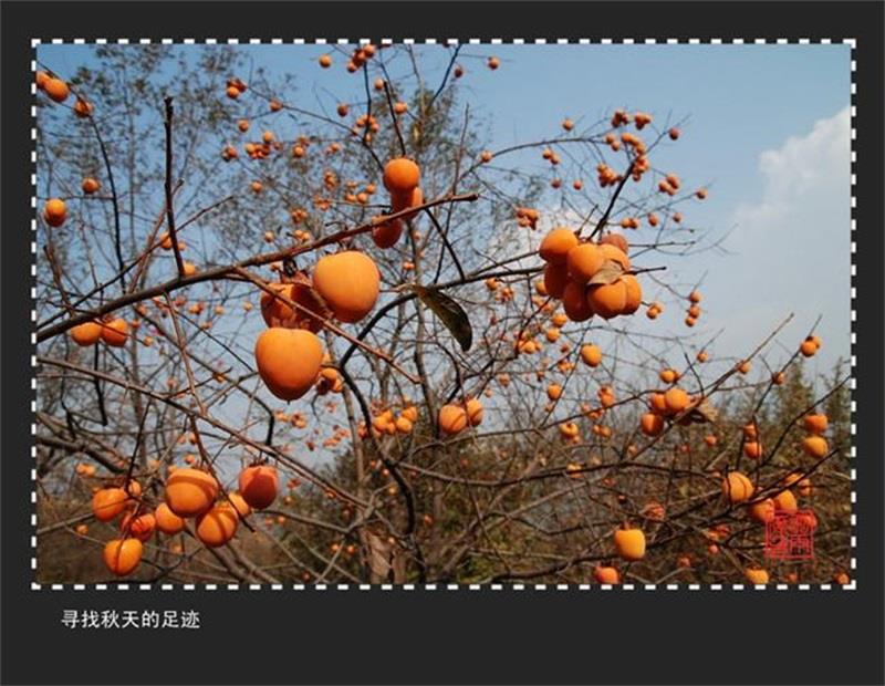 http://s.yun12.cn/lxsyyey/images/5g5jxdcbh4y20200606155052.jpg
