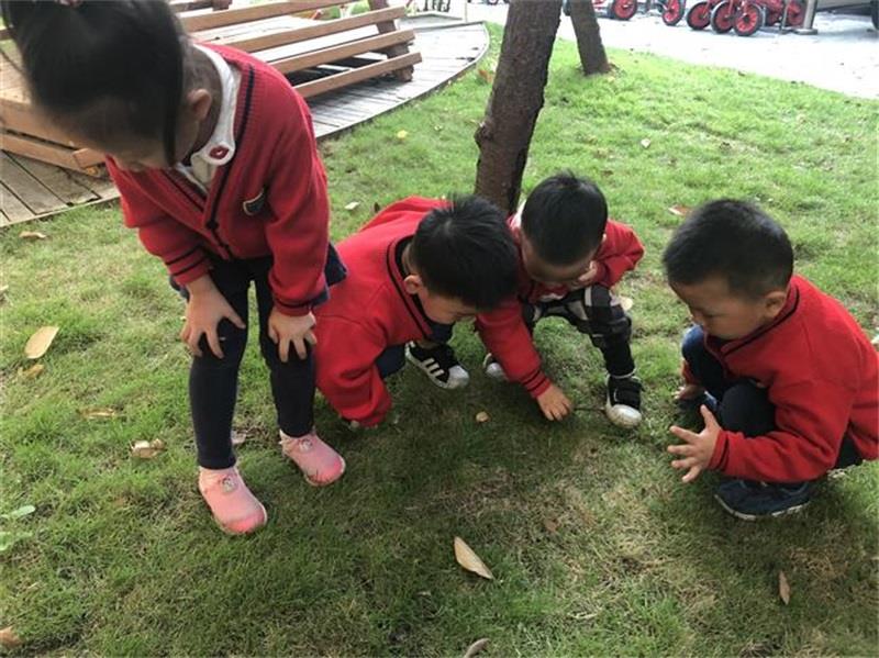 http://s.yun12.cn/lxsyyey/images/2jv3jfeoi0p20200606155050.jpg