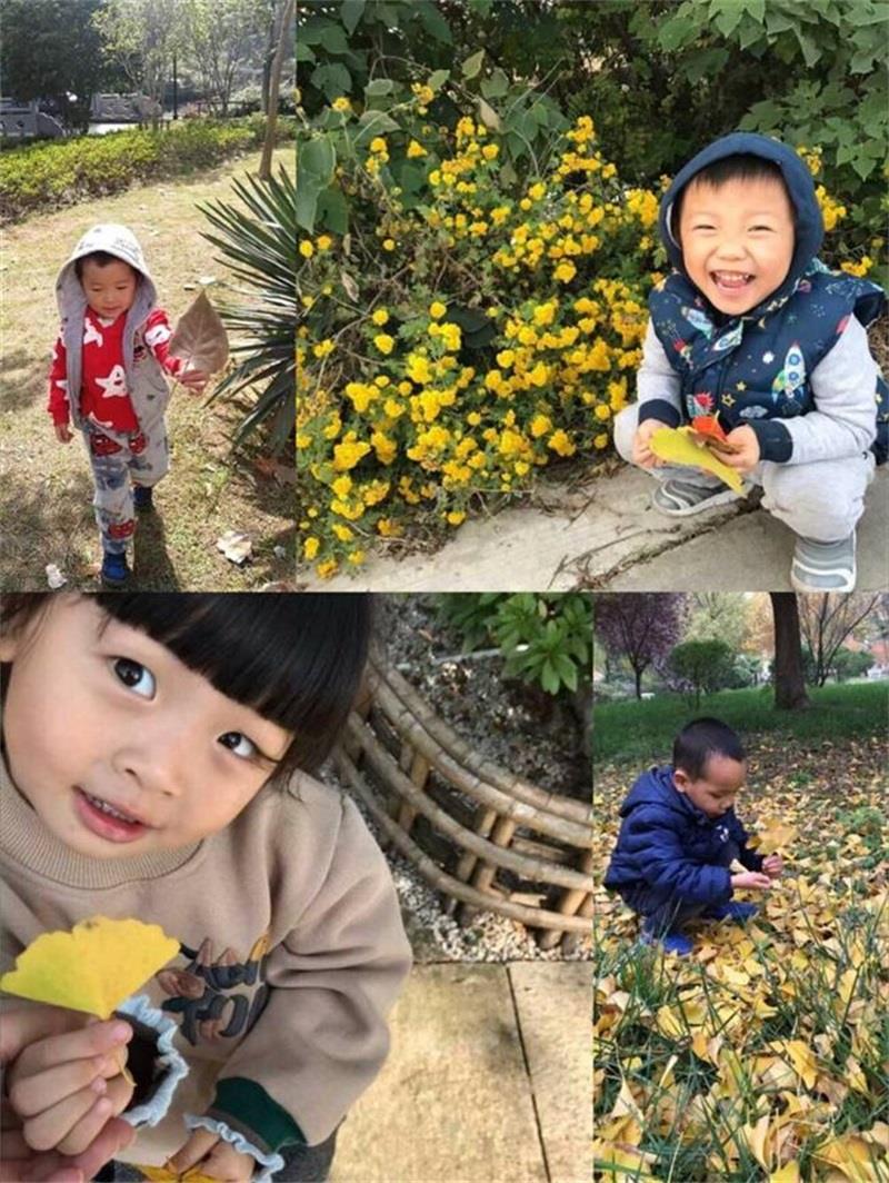 http://s.yun12.cn/lxsyyey/images/dp3negg1yeo20200606155346.jpg