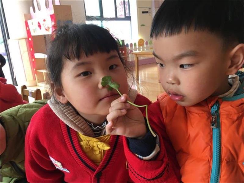 http://s.yun12.cn/lxsyyey/images/lmg1gbifjuv20200606155342.jpg