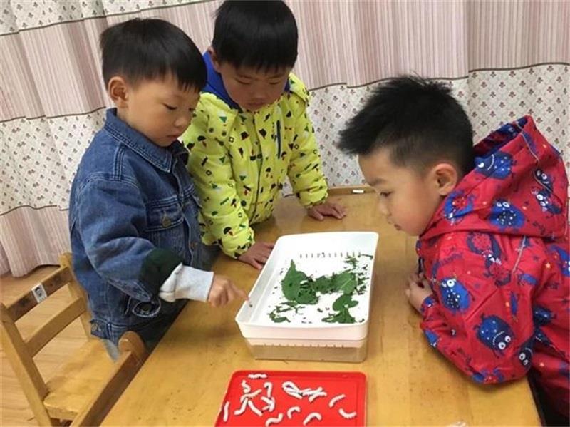 http://s.yun12.cn/lxsyyey/images/x5lqk0lurdt20200606155340.jpg