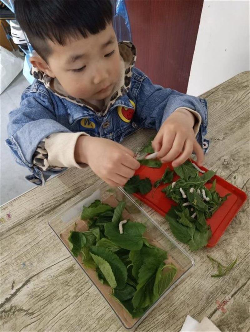 http://s.yun12.cn/lxsyyey/images/zkckqhjyehp20200606155340.jpg