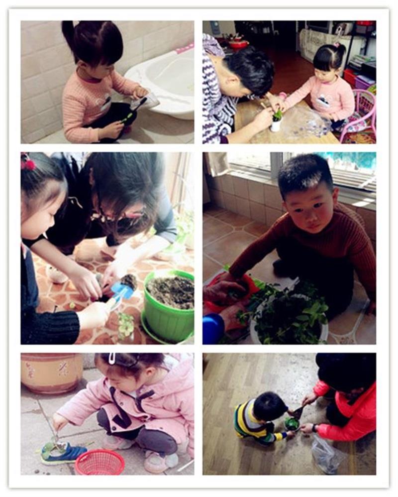 http://s.yun12.cn/lxsyyey/images/n33whsf0ztm20200606155903.jpg
