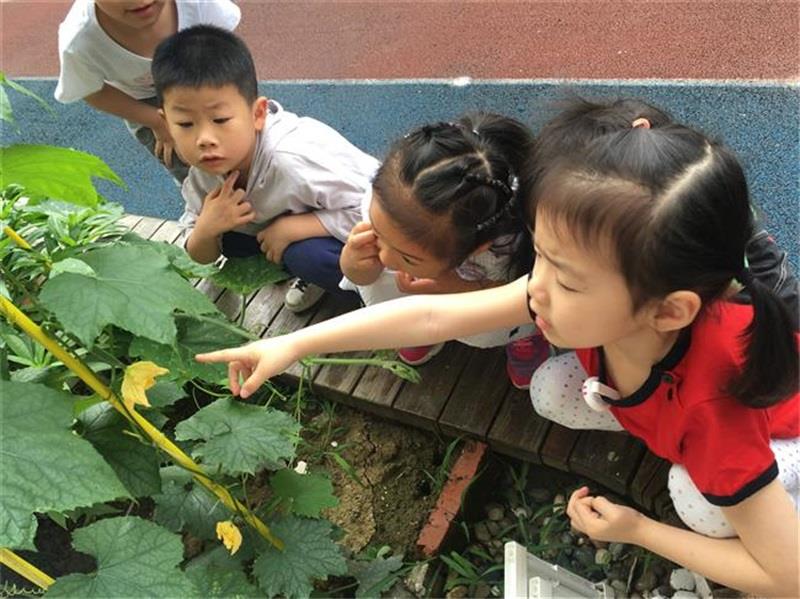 http://s.yun12.cn/lxsyyey/images/kyw2ykk21cg20200606155855.jpg