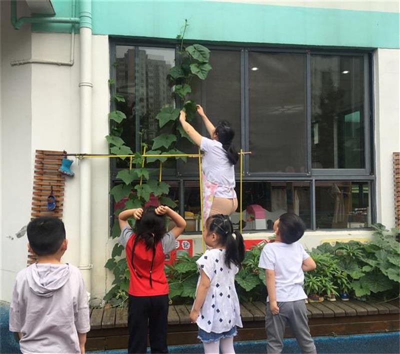 http://s.yun12.cn/lxsyyey/images/gb1j2rdp0q320200606155855.jpg