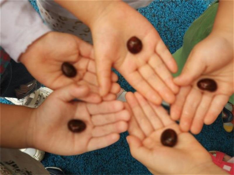 http://s.yun12.cn/lxsyyey/images/l55rxn4td1q20200606160149.jpg