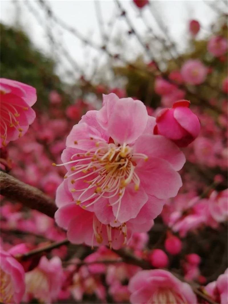 http://s.yun12.cn/lxsyyey/images/10fsdgbsuw420200606160145.jpg