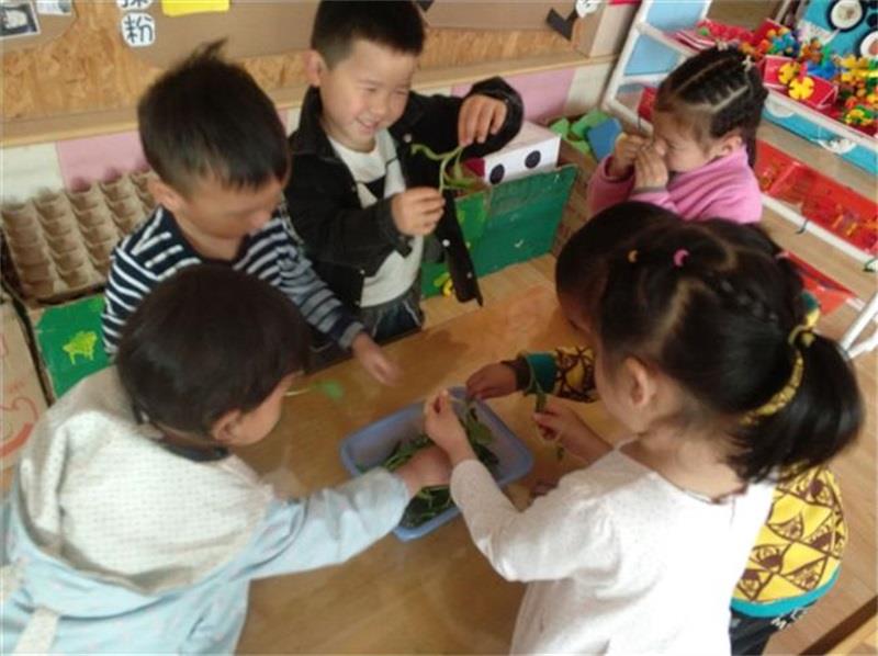 http://s.yun12.cn/lxsyyey/images/truwsvszisr20200606160138.jpg