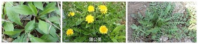 http://s.yun12.cn/lxsyyey/images/44jzlfoq2km20200606160139.jpg