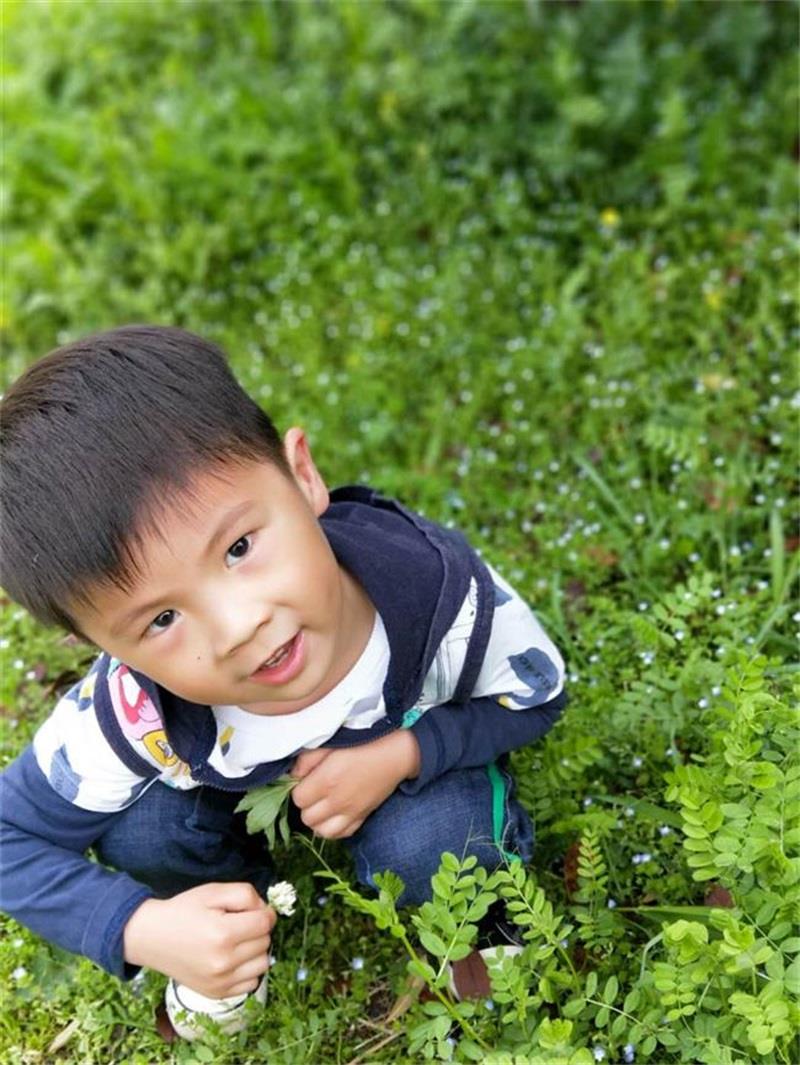 http://s.yun12.cn/lxsyyey/images/bconizoazmj20200606160139.jpg