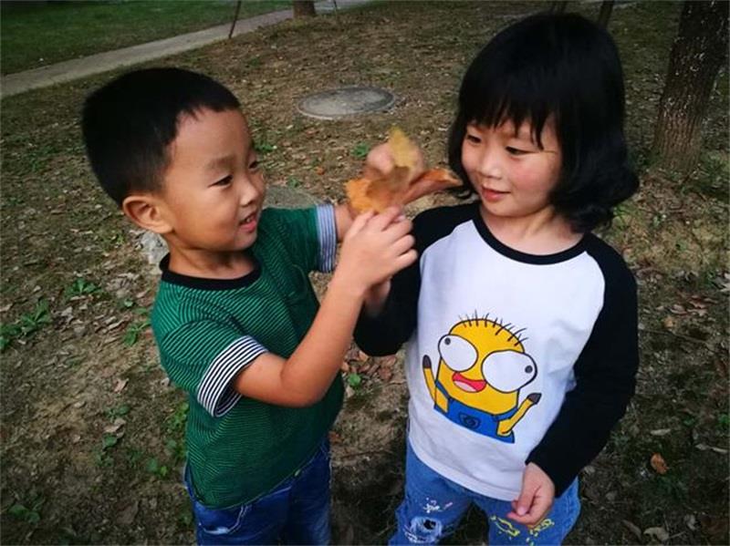 http://s.yun12.cn/lxsyyey/images/p1vdf1mbfcq20200606160109.jpg