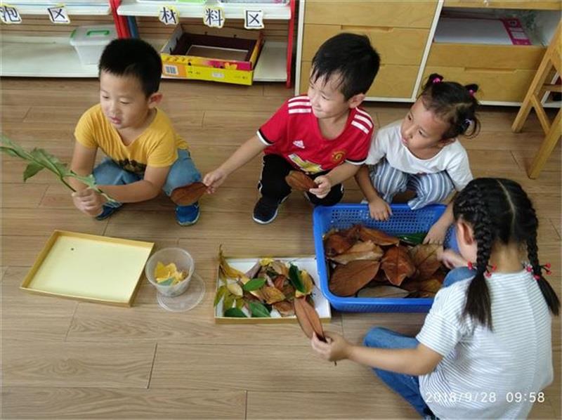 http://s.yun12.cn/lxsyyey/images/bhjpfafwlrt20200606160109.jpg