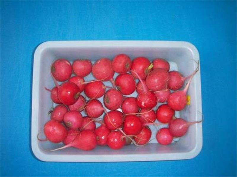 http://s.yun12.cn/lxsyyey/images/dstoonfu3k320200606160428.jpg