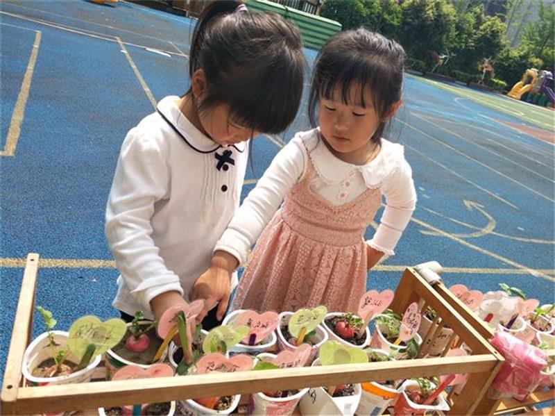http://s.yun12.cn/lxsyyey/images/i3eacue0yey20200606160428.jpg