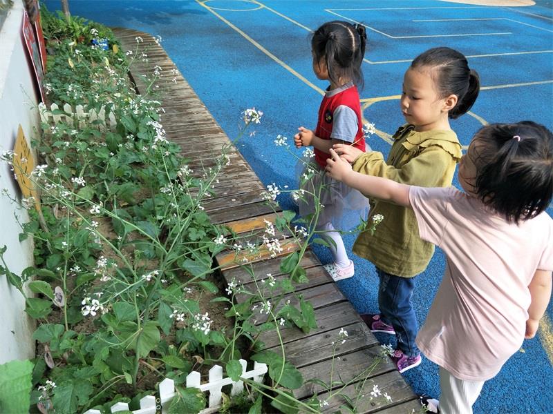 http://s.yun12.cn/lxsyyey/images/tvrskjt0uex20200606160402.jpg