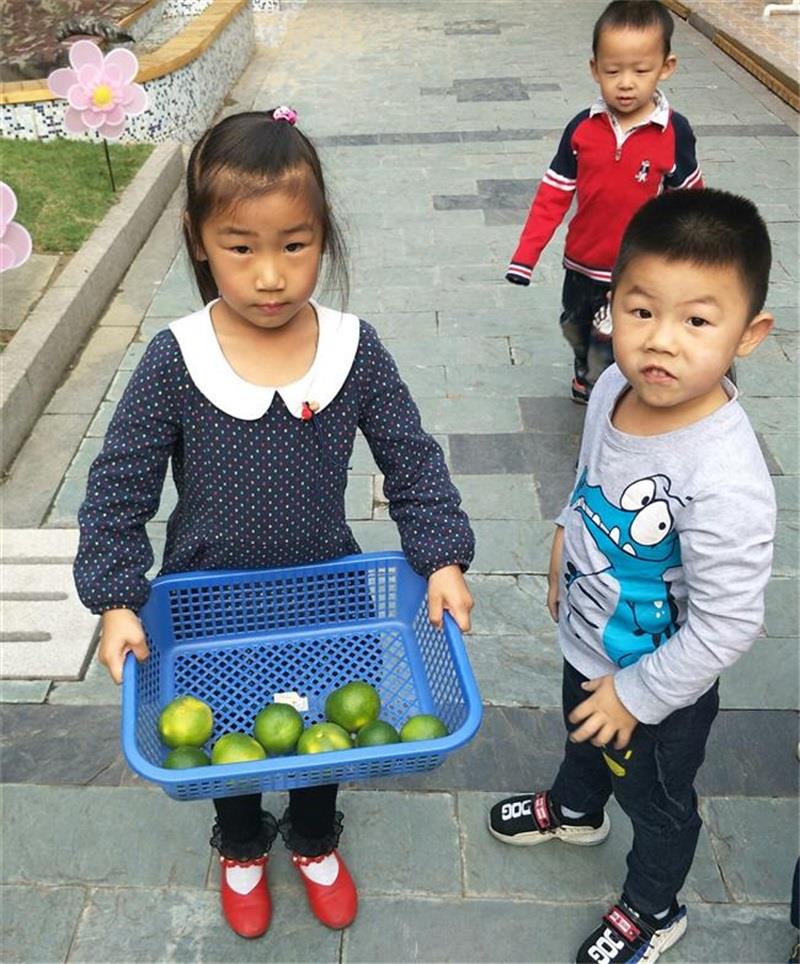 http://s.yun12.cn/lxsyyey/images/l3lwlobmqsm20200606160355.jpg