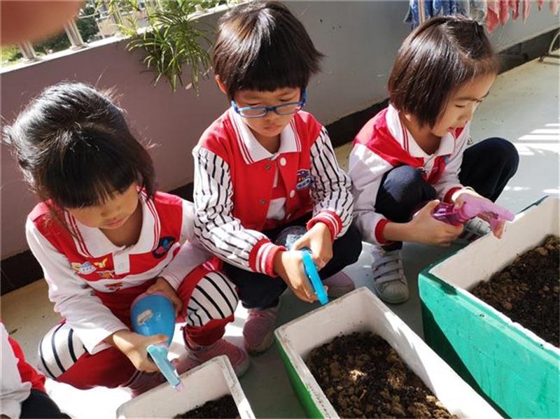 http://s.yun12.cn/lxsyyey/images/a2xlwuh04xv20200606164453.jpg
