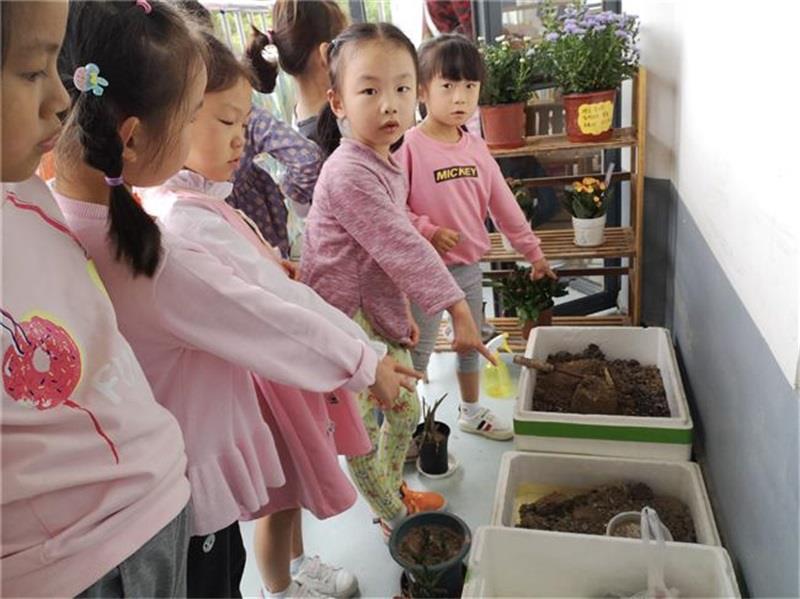 http://s.yun12.cn/lxsyyey/images/upvav3vek4p20200606164452.jpg