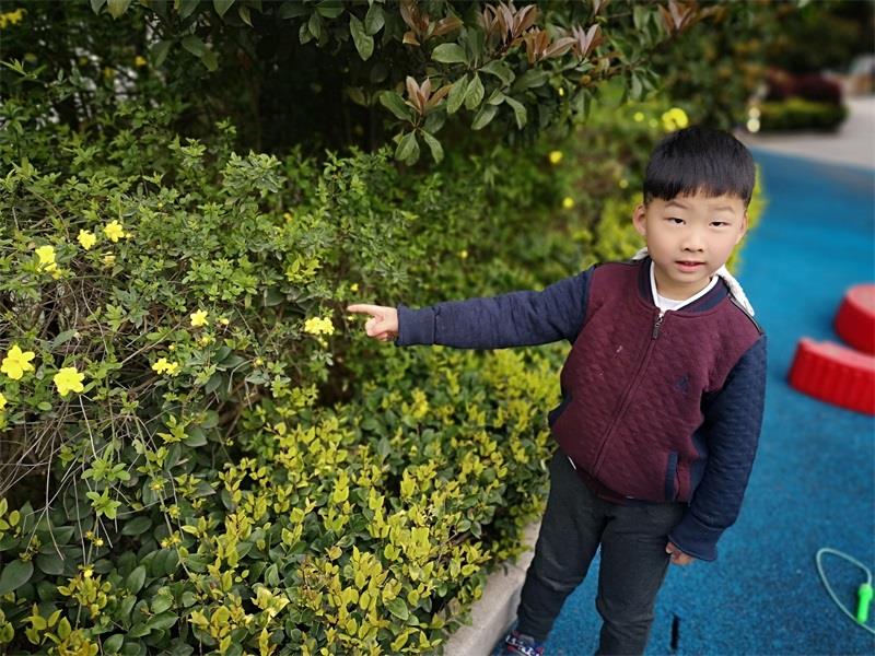 http://s.yun12.cn/lxsyyey/images/txymda11ava20200606164348.jpg