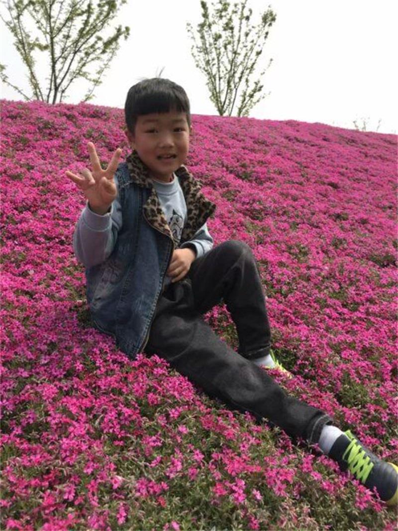 http://s.yun12.cn/lxsyyey/images/j2gmhdx4xuj20200606164348.jpg