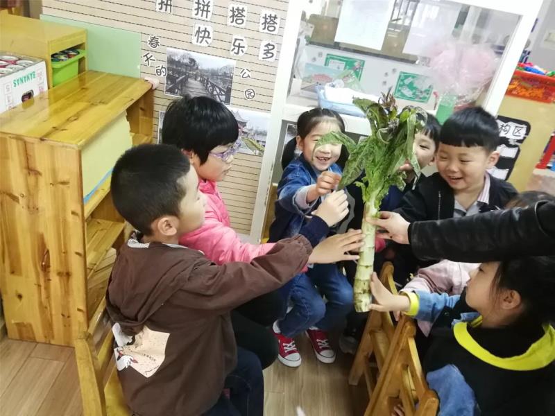 http://s.yun12.cn/lxsyyey/images/4dvry3zo5qf20200606164344.jpg