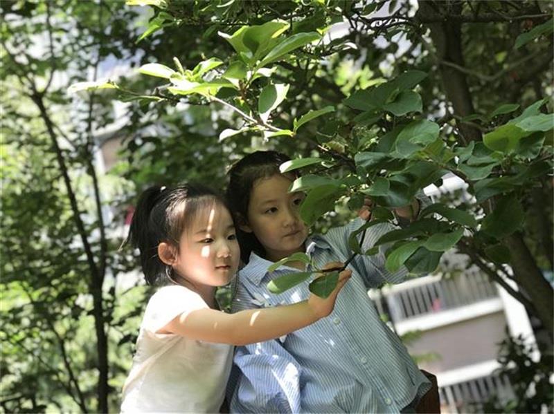 http://s.yun12.cn/lxsyyey/images/isj1ojefcbb20200606164653.jpg
