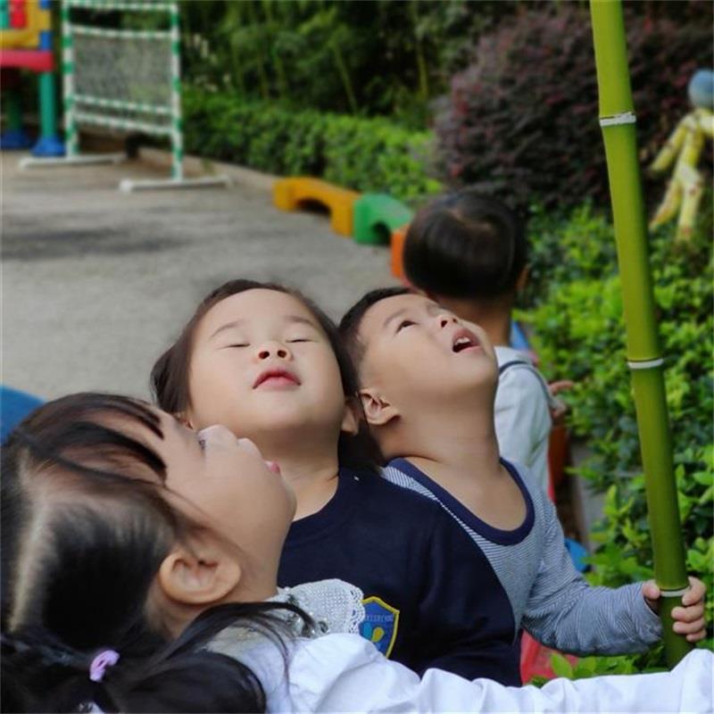 http://s.yun12.cn/lxsyyey/images/w5ifzg3ebf320200606164640.jpg