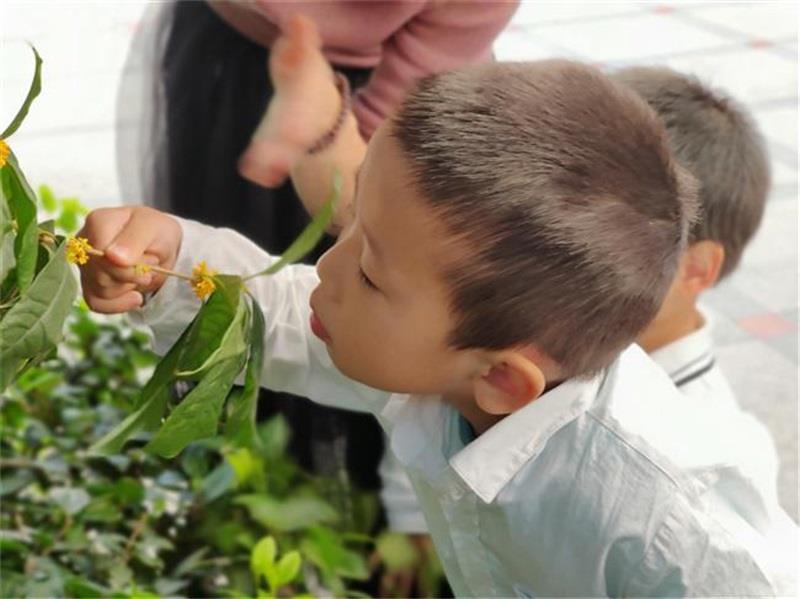 http://s.yun12.cn/lxsyyey/images/dlmh1jevshl20200606164640.jpg
