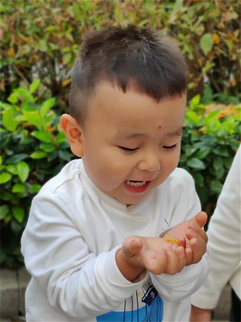 http://s.yun12.cn/lxsyyey/images/ztw1dgdzy2r20200606164640.jpg
