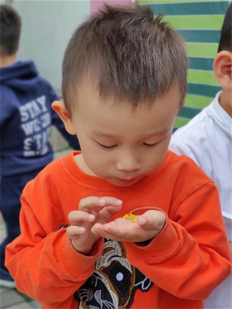 http://s.yun12.cn/lxsyyey/images/0nvuwqd1yc120200606164640.jpg