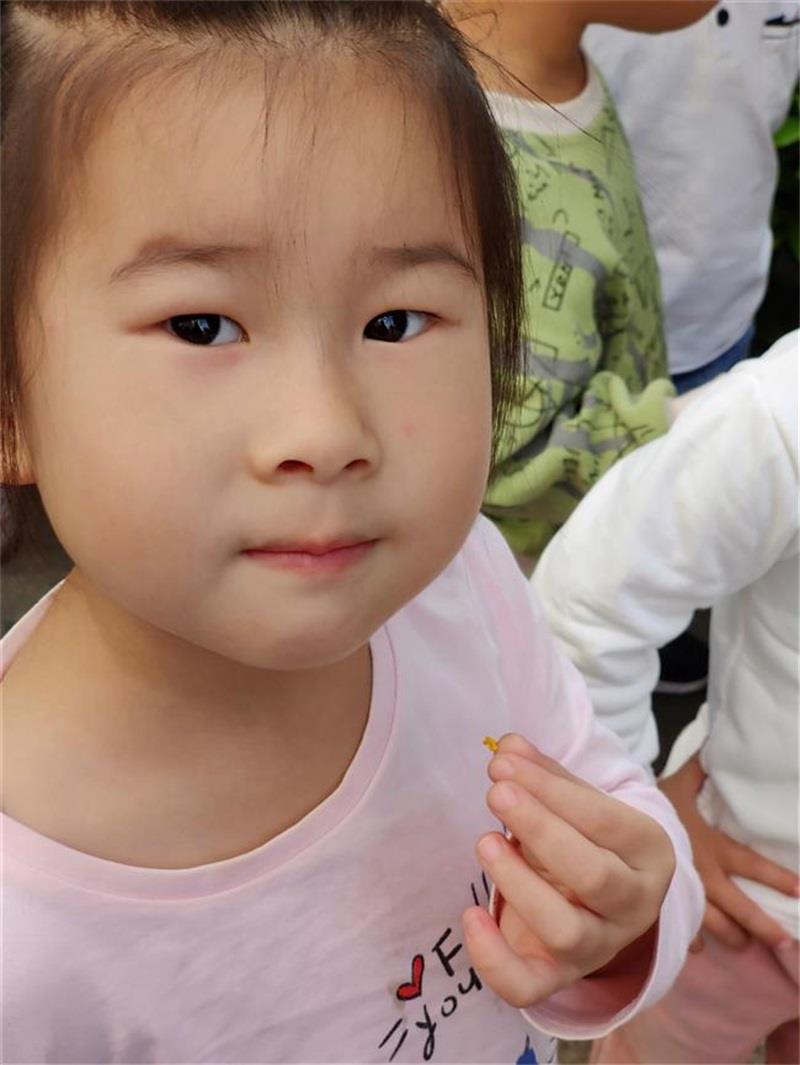 http://s.yun12.cn/lxsyyey/images/paqocgiho0r20200606164641.jpg