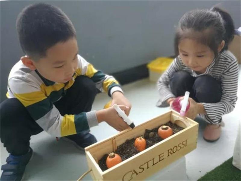 http://s.yun12.cn/lxsyyey/images/dbxyv4vhdto20200606164932.jpg