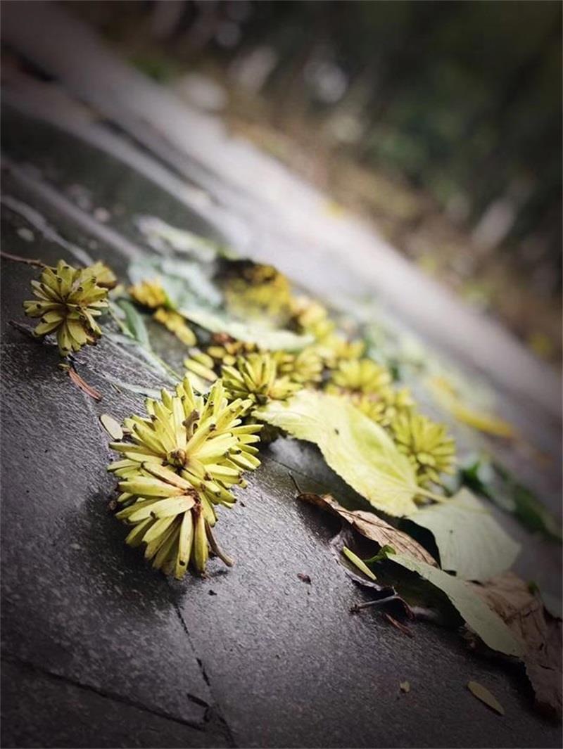 http://s.yun12.cn/lxsyyey/images/mdgqr51uq4e20200606165859.jpg