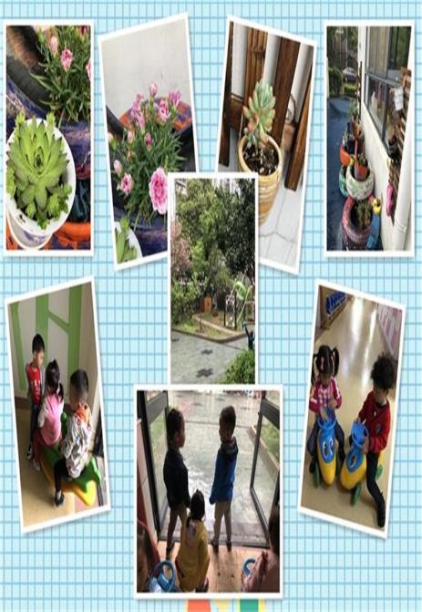 http://s.yun12.cn/lxsyyey/images/m4zogecrwe320200606170439.jpg