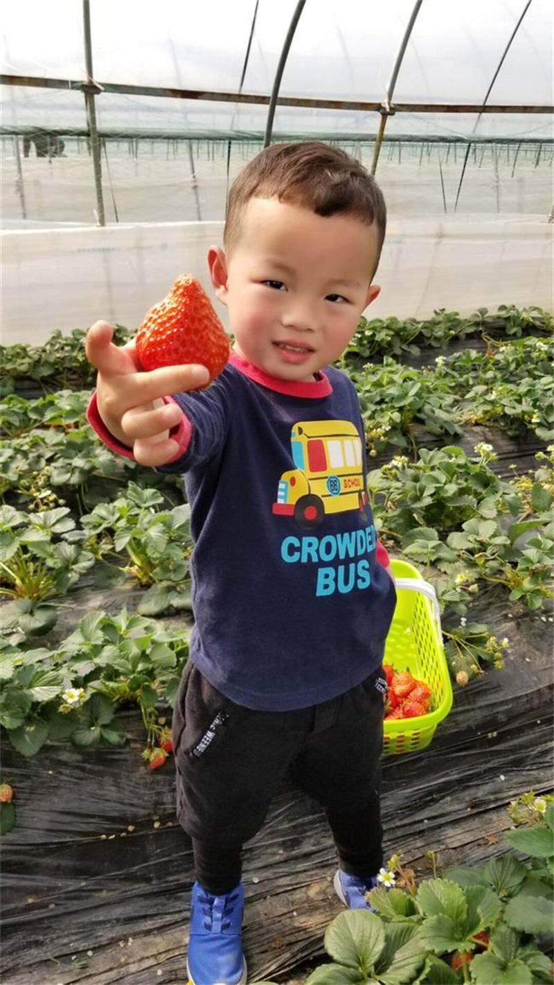 http://s.yun12.cn/lxsyyey/images/m4coyq0d5eb20200606170428.jpg