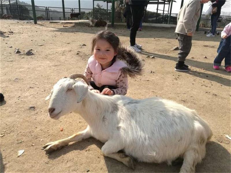 http://s.yun12.cn/lxsyyey/images/blwkeozam0r20200606170428.jpg