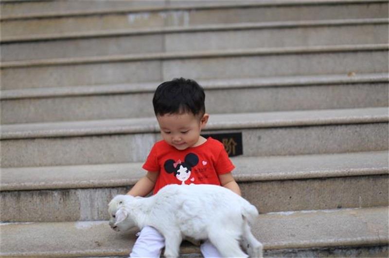 http://s.yun12.cn/lxsyyey/images/1utrddgife520200606170417.jpg