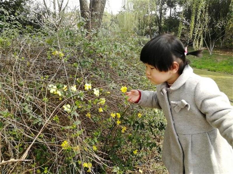 http://s.yun12.cn/lxsyyey/images/ae1axbeswra20200606170410.jpg