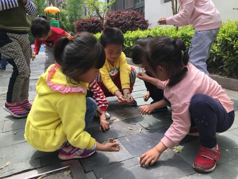 http://s.yun12.cn/lxsyyey/images/aazdadgxfo220200606150759.jpg